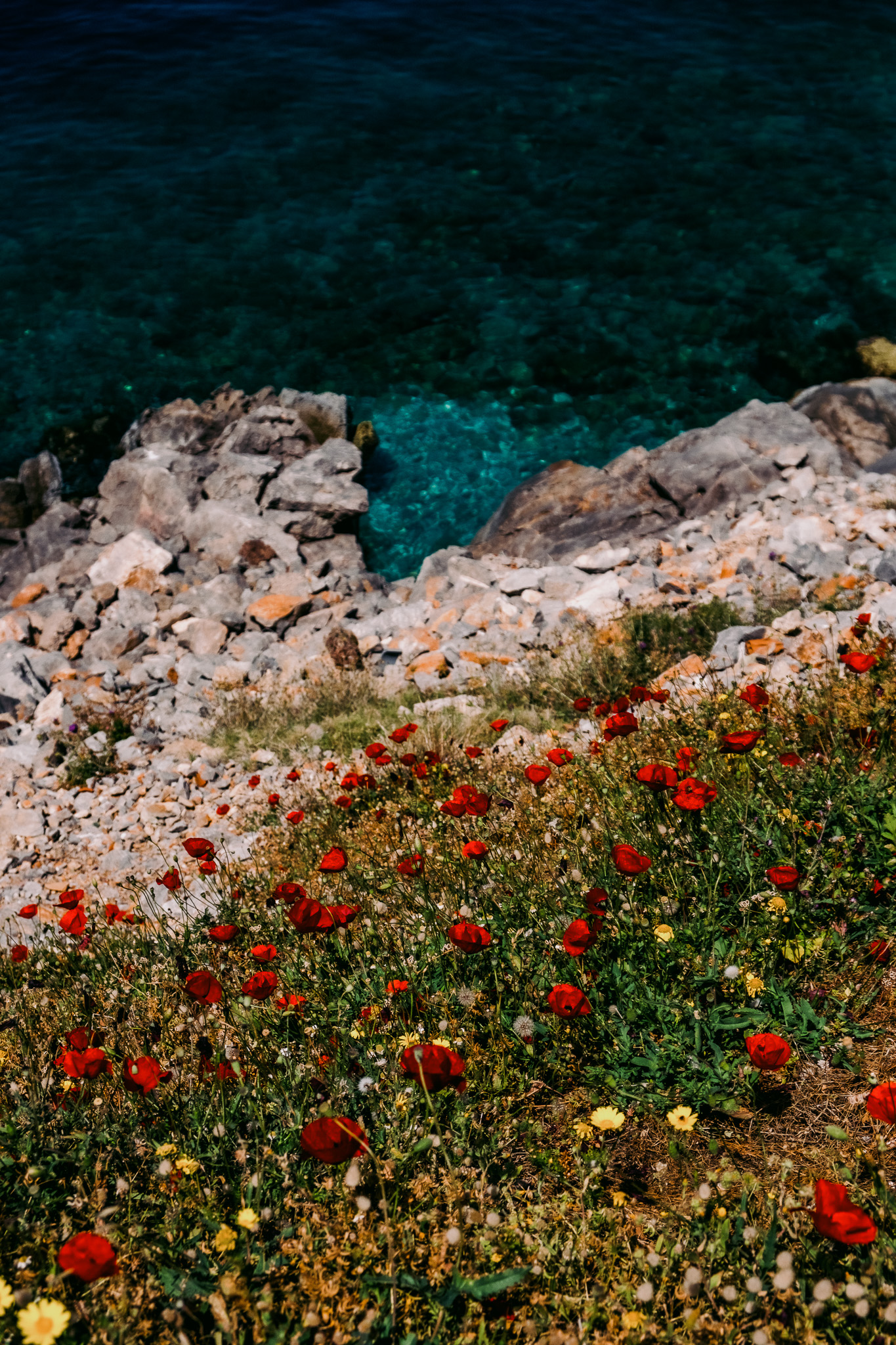 Un après-midi à Hydra